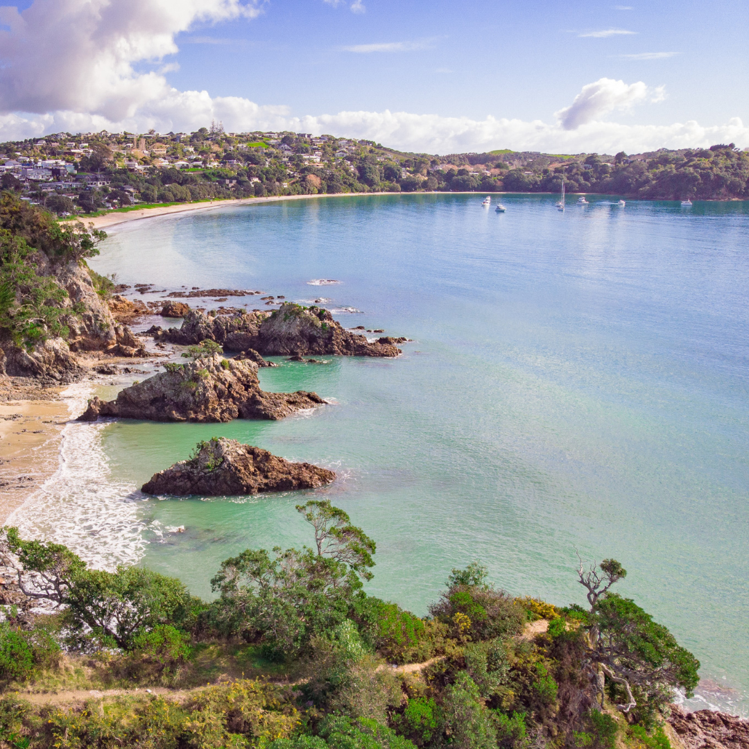 Yoga Teacher Training on Waiheke 2024